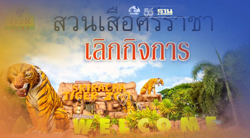 โควิดพ่นพิษ สวนเสือศรีราชา ประกาศเลิกกิจการ