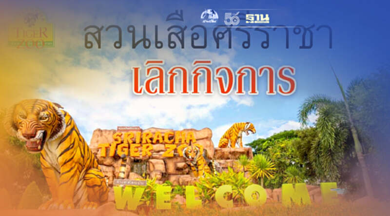 โควิดพ่นพิษ สวนเสือศรีราชา ประกาศเลิกกิจการ โควิดพ่นพิษ สวนเสือศรีราชา ประกาศเลิกกิจการ
