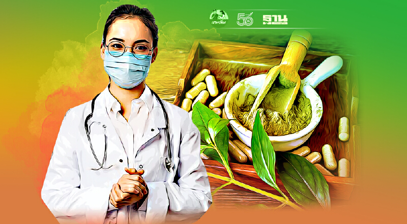 ไขข้อข้องใจ ฟ้าทะลายโจรกินยังไง  ลดอาการป่วยโควิด ที่นี่มีคำตอบ