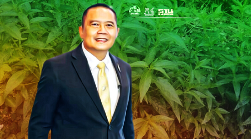 ข่าวดี กรมส่งเสริมการเกษตร แจกฟรี “ต้นฟ้าทะลายโจร” 5 แสนต้น