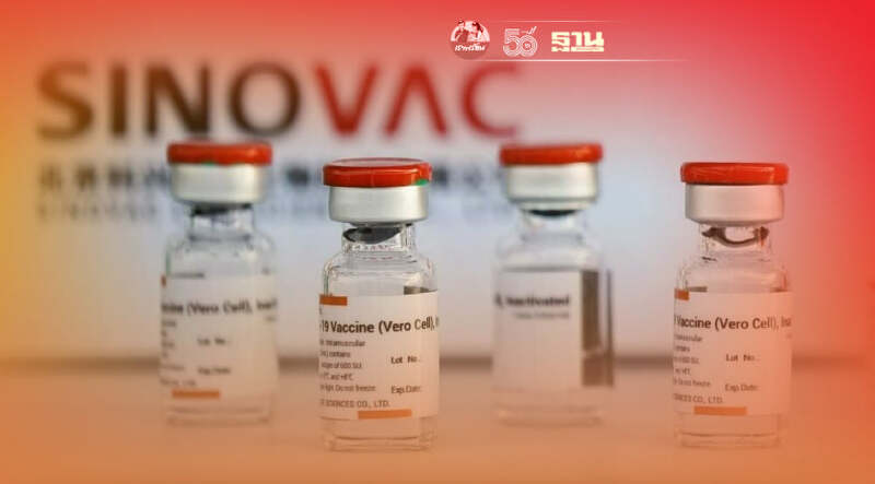 สธ.ย้ำ วัคซีนซิโนแวค ปลอดภัย ลดป่วยรุนแรงและเสียชีวิต