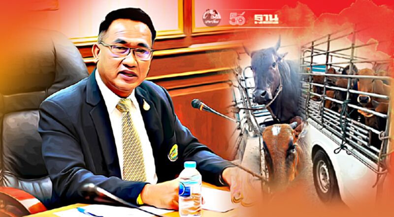 ปิดล้อมจับคาราวานขนย้ายโคเข้า “กรุงเทพฯ ” ไม่มีใบอนุญาตเคลื่อนย้าย ปิดล้อมจับคาราวานขนย้ายโคเข้า “กรุงเทพฯ ” ไม่มีใบอนุญาตเคลื่อนย้าย