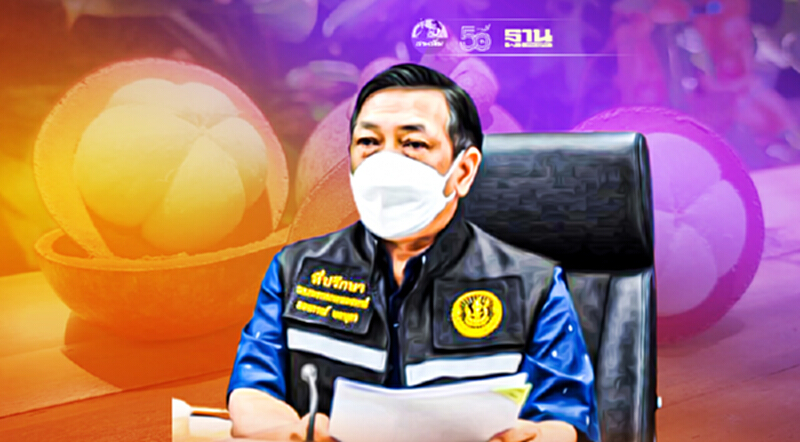 “ฟรุ้ทบอร์ด”ขานรับจ่ายเยียวมังคุดภาคใต้ ชง “จุรินทร์-เฉลิมชัย”เสนอ ครม. “ฟรุ้ทบอร์ด”ขานรับจ่ายเยียวมังคุดภาคใต้ ชง “จุรินทร์-เฉลิมชัย”เสนอ ครม.