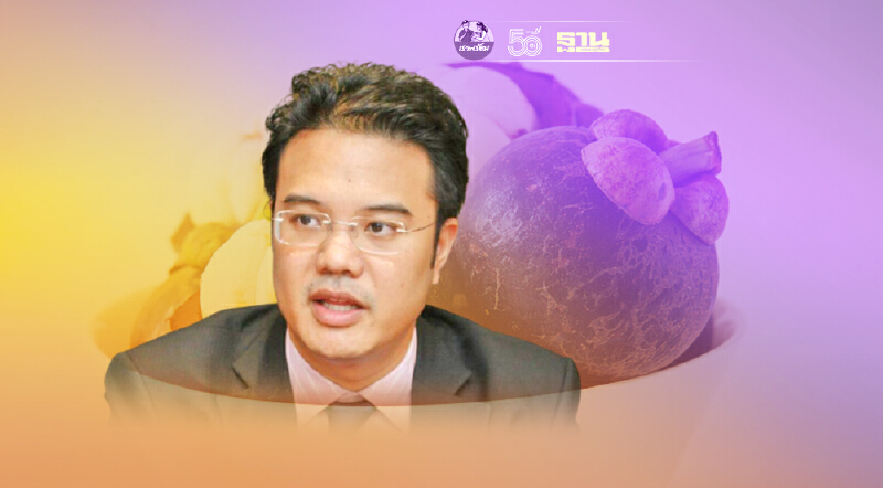 ปชป.เร่งหารือช่วยชาวสวนภาคใต้แก้ราคา"มังคุด"ตกตํ่าจากเหตุ“ล็อกดาวน์”