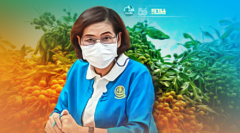 “พาณิชย์ลำพูน”ทำแผนลำไยปี64 เพิ่มช่องขายออนไลน์ ออฟไลน์ “พาณิชย์ลำพูน”ทำแผนลำไยปี64 เพิ่มช่องขายออนไลน์ ออฟไลน์