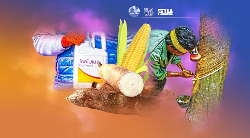 กระทุ้งรัฐเร่งไฟเขียวนำเข้า ไกลโฟเซต “มอนซานโต้” โผล่เบ่งเค้กปี 63