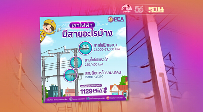 การไฟฟ้าส่วนภูมิภาค (PEA) แนะนำสายบนเสาไฟฟ้า มีอะไรบ้าง การไฟฟ้าส่วนภูมิภาค (PEA) แนะนำสายบนเสาไฟฟ้า มีอะไรบ้าง
