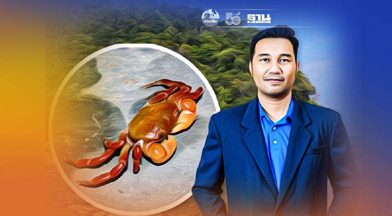 นักวิจัยม.สงขลานครินทร์ค้นพบ“ปูไก่จิ๋ว”ครั้งแรกในไทยที่ภูเก็ต