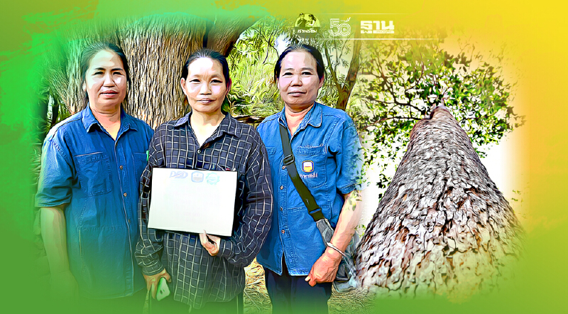 ไม้ยืนต้นหลักประกันกู้เงินแบงก์คืบ ประชาชนแห่ขอสินเชื่อแล้วกว่า 134 ล้าน