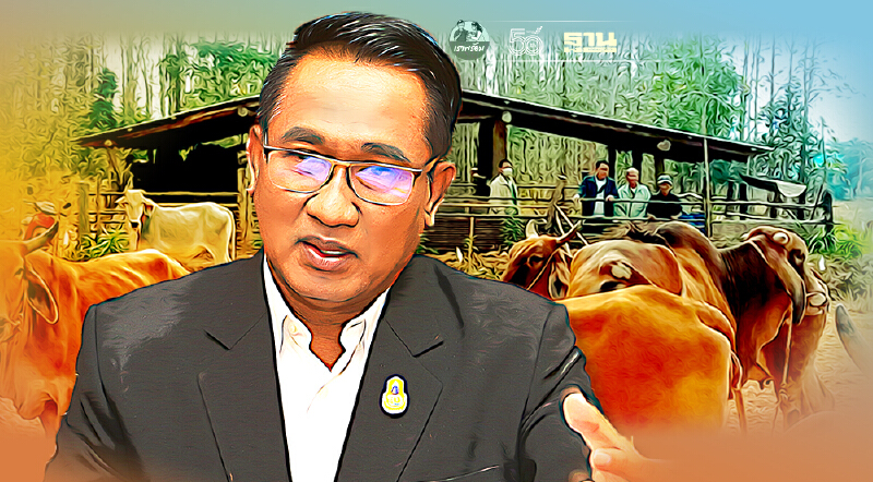 กรมปศุสัตว์ พลิกเกม สู้โควิด ดันมาตรฐาน ปศุสัตว์OK ป้องอุตสาหกรรม 2 แสนล้าน