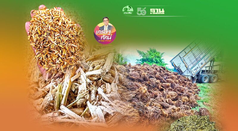 ธุรกิจกับการลดโลกร้อน (9)  วัตถุดิบพลังงานทดแทน