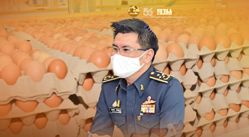 “ค้าภายใน”จับมือสมาคมไข่ไก่  ตรึงราคาช่วยลดผลกระทบช่วงโควิด