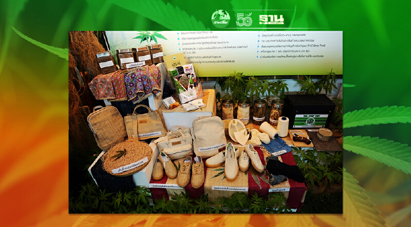 สวพส. ผนึกพันธมิตร บูรณาการความรู้งานวิจัย พัฒนากัญชงสู่ระดับอุตสาหกรรม