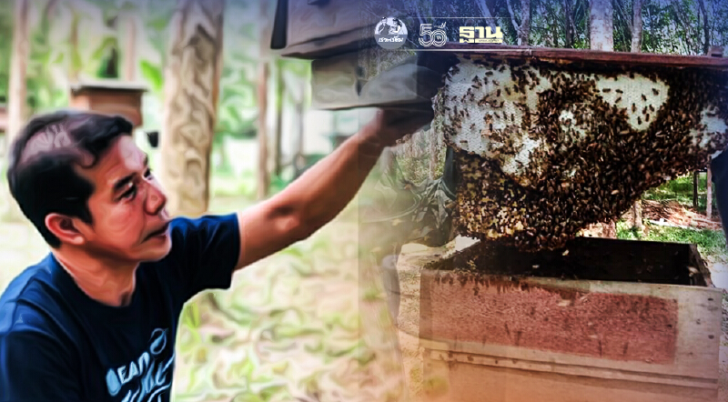 ทำความรู้จัก "น้ำผึ้งเดือนห้า" จากป่าชายเลน บ้านไหนหนัง จังหวัดกระบี่  