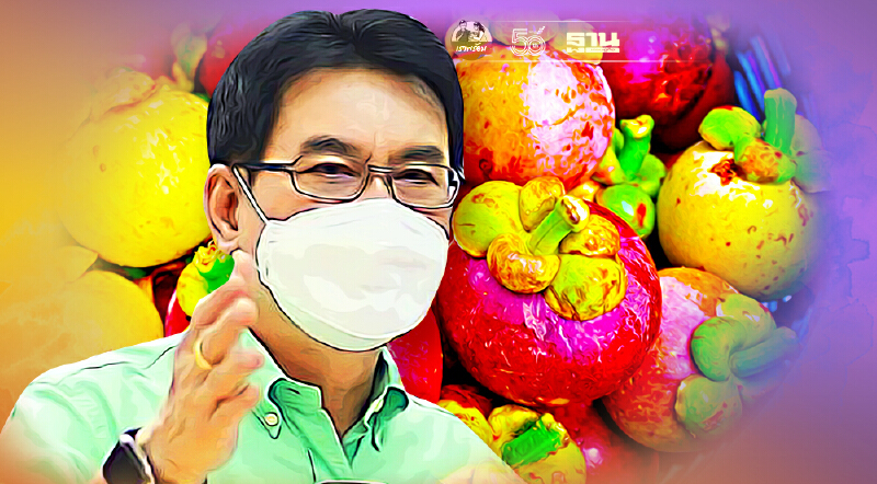 “พาณิชย์”เร่งแก้แรงงานขาด  ปลดล็อกนำ “ล้ง” รับซื้อมังคุดใต้