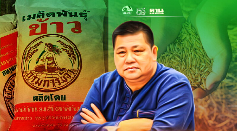 กรมการข้าว เปิดแผนตั้งเป้าผลิตเมล็ดพันธุ์ข้าว 1.52 แสนตัน/ปี