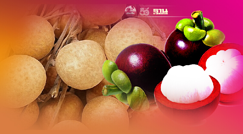 ระดมขายออนไลน์“ลำไย-มังคุด”ส่งถึงบ้านหนีโควิด