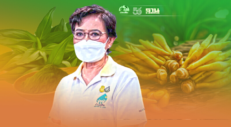 ศธ. สั่งให้วิทยาลัยเกษตรฯทั่วปท. เพาะต้นกล้า "ฟ้าทะลายโจร-กระชาย" แจกปชช.