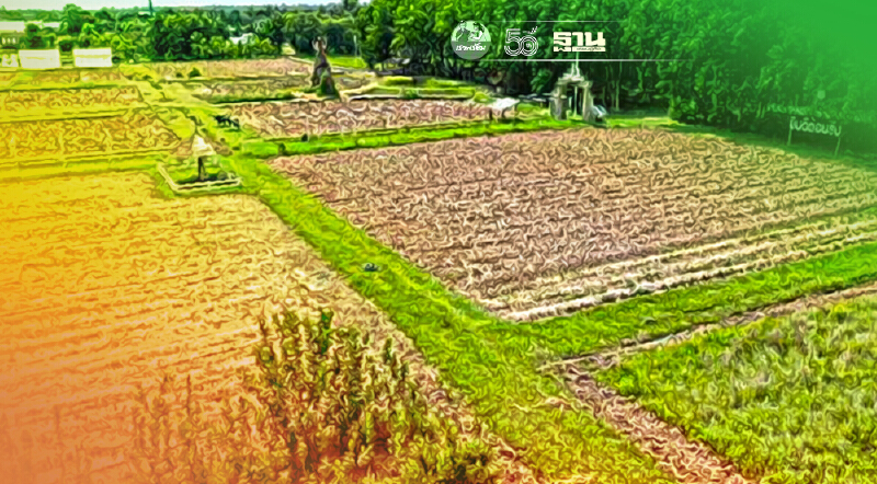 เผยโฉม “กัญนคร@ราชมงคลอีสาน” ขับเคลื่อนกัญชา-กัญชงครบวงจร