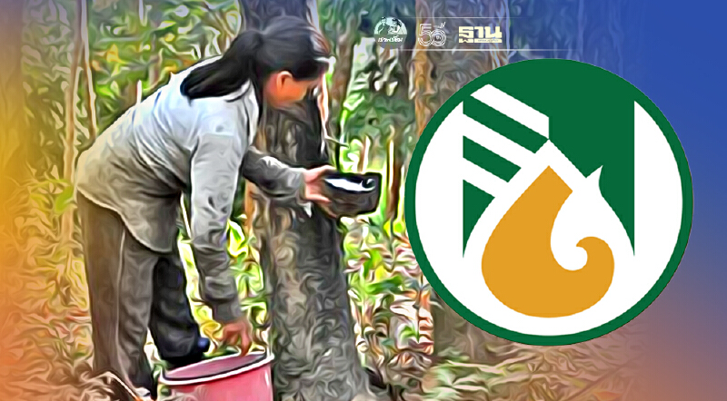 ประเมินผลงาน 6 ปี กยท. "อดีต-อนาคต" ชาวสวนยาง คิดเห็นอย่างไร