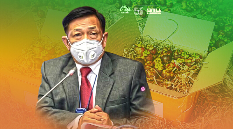 เปิดทางพิเศษ 900 ล้งผลไม้ ตะวันออกลงใต้ แก้มังคุดราคาตกต่ำ ให้เร็วที่สุด