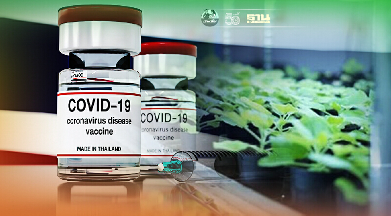 ข่าวดี วัคซีนใบยาป้องกันโควิด-19 ฝีมือคนไทย เตรียมทดสอบในมนุษย์ ก.ย.นี้
