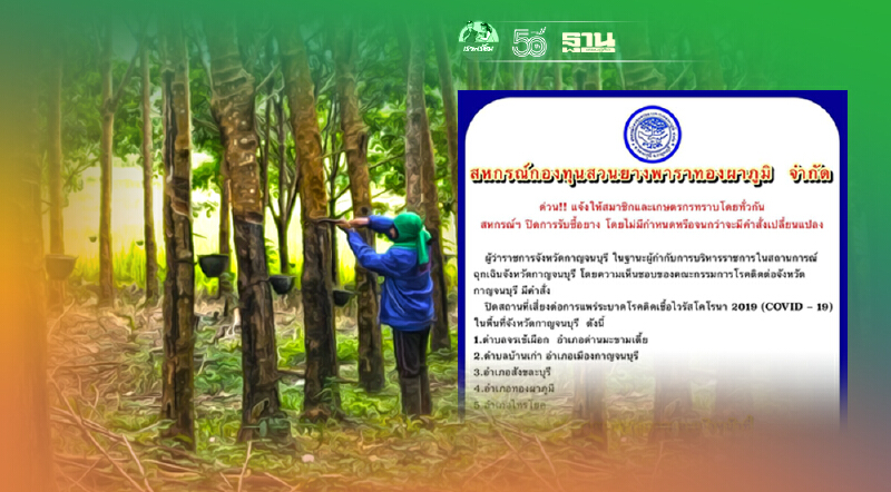 สหกรณ์กองทุนสวนยางพาราทองผาภูมิ ปิดประกาศหยุดรับซื้อยางโดยไม่มีกำหนด สหกรณ์กองทุนสวนยางพาราทองผาภูมิ ปิดประกาศหยุดรับซื้อยางโดยไม่มีกำหนด