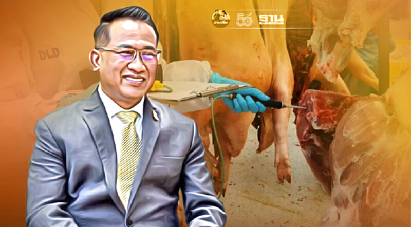 ย้ำฝีหนองในเนื้อหมูเกิดจากการอักเสบ ไม่ใช่โรคระบาด ย้ำฝีหนองในเนื้อหมูเกิดจากการอักเสบ ไม่ใช่โรคระบาด