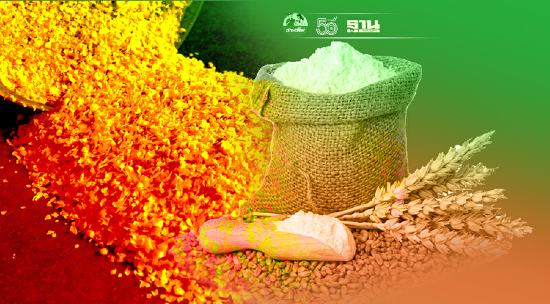 ผงะ “ข้าวบาร์เลย์-กากข้าวโพด” ทะลักไทย สูงประวัติการณ์