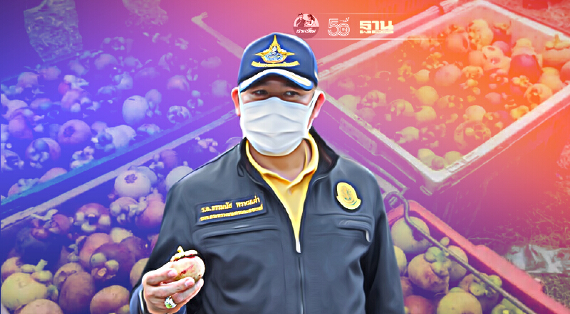 “ธรรมนัส” ร่วมช่วยมังคุดเมืองคอน ดันปลูก "ฟ้าทะลายโจร" พรึ่บ ที่ ส.ป.ก.