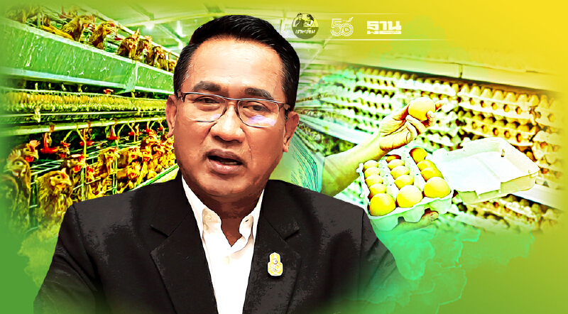 สั่งฟาร์มยืดอายุการเลี้ยงแม่ไก่ เพิ่มปริมาณไข่ไก่ วันละ 42 ล้านฟอง