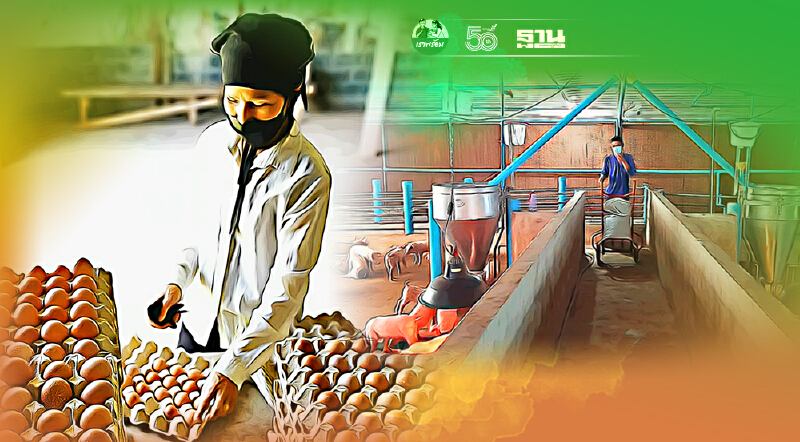 “ซีพีเอฟ”สั่งซีลฟาร์มเลี้ยงสัตว์-ติวเข้มคอนแทร็คฟาร์มปลอดโควิด