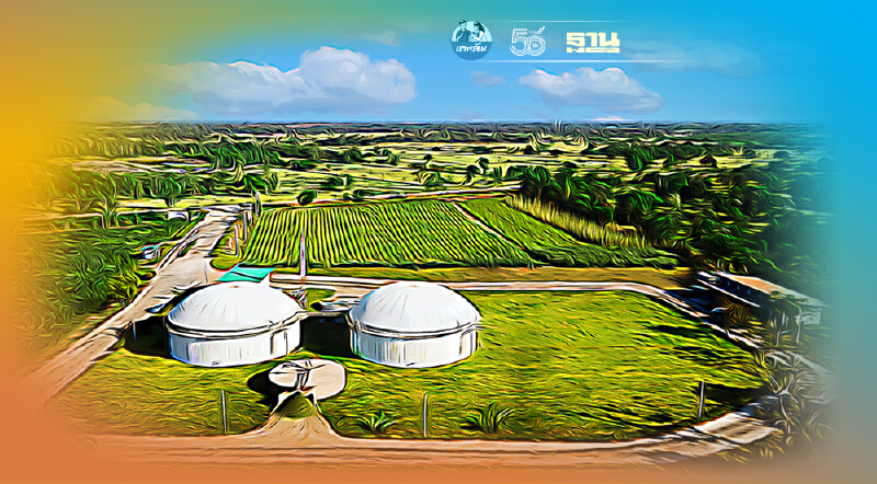 "พีพีทาวเวอร์" ร่วมชิงเค้กโรงไฟฟ้าชุมชนโครงการนำร่อง 150 เมกะวัตต์