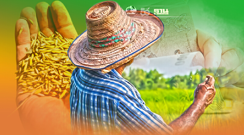 ชาวนา ระงม ร้อง “ข้าวเหนียว” ราคาต่ำสุดในรอบกว่า 20 ปี