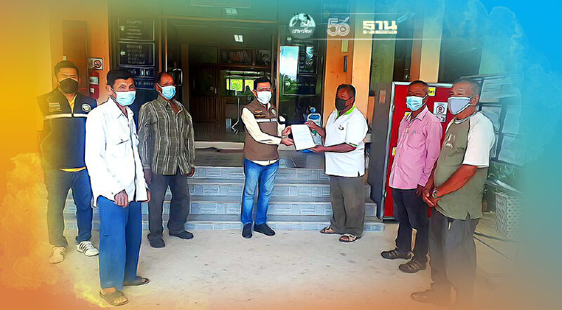 อัพเดทราคามะพร้าว ล่าสุด ร้องระงม เจ๊ง ขาดทุน ลูกละ 5-6 บาท