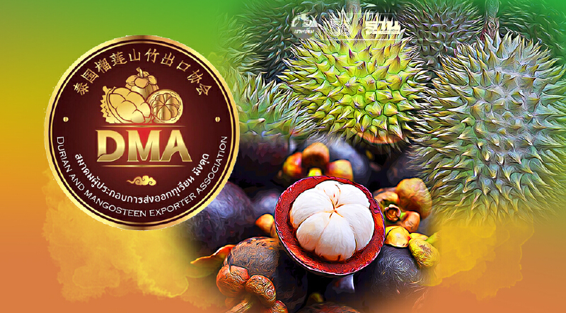 ข่าวจริง "ล้ง" หยุดรับซื้อ “ทุเรียน” “มังคุด” ตั้งแต่วันที่ 18 ส.ค. เป็นต้นไป