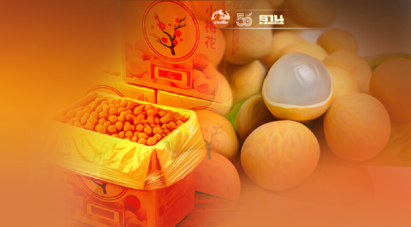 จีนปลดล็อก 50 ล้งลำไย จี้คุมเข้ม‘เพลี้ยแป้ง’