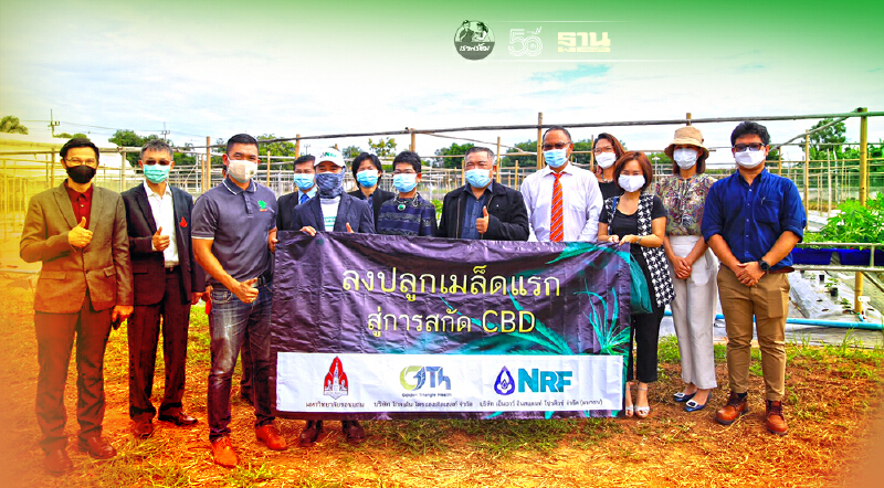 เอกชนผนึกม.ขอนแก่น ปลูก “กัญชง” กว่า 400 ไร่ 