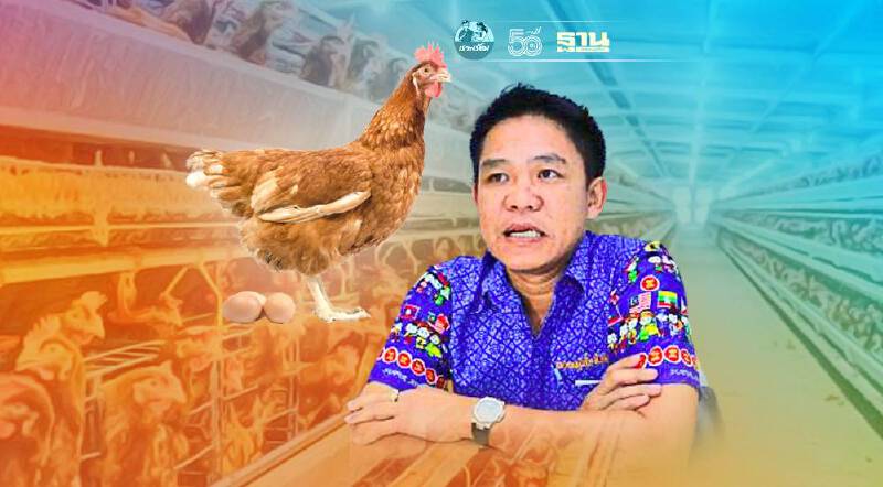 พ่อค้าเปิดศึกแย่งซื้อ ดันราคาไข่ไก่คละหน้าฟาร์มพุ่ง 3.30 บาท