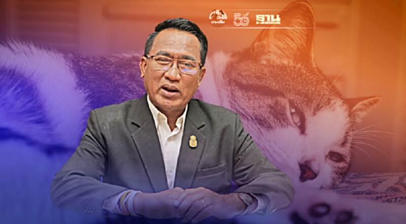 ปศุสัตว์ บุกช่วยเหลือแมว-สุนัข หลังเจ้าของติดโควิด ปศุสัตว์ บุกช่วยเหลือแมว-สุนัข หลังเจ้าของติดโควิด