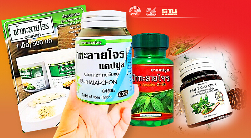 อย. เปิดรายชื่อฟ้าทะลายโจรผิดกฎหมาย อัพเดทล่าสุด เช็กให้ชัวร์ก่อนซื้อ