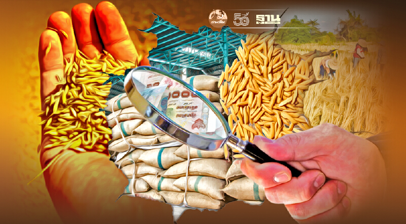 นายกสมาคมชาวนาและเกษตรกรไทย เปิดเบื้องลึก ทำไมราคาข้าวดิ่งเหว