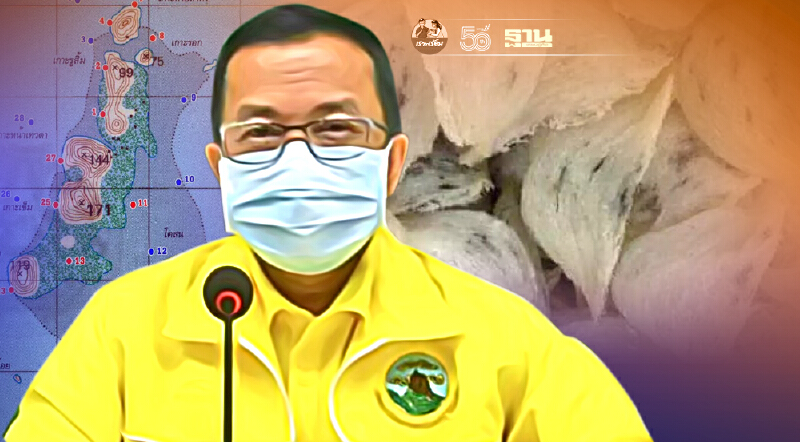 ได้ประมูลแล้ว"รังนกอีแอ่นพัทลุง"5ปี400ล้าน