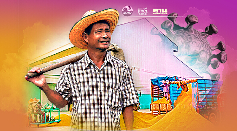 เช็กด่วน “โรงสี-ส่งออก” ไหนบ้าง ขายข้าว ต้องมี ใบตรวจโควิด –“ฉีดวัคซีนโควิด”