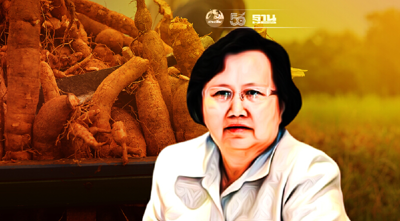 ป.ป.ช.คาดคดีทุจริตซื้อขายมันสำปะหลังแบบจีทูจีจบก.ย.นี้