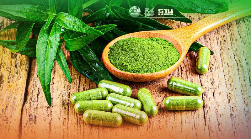 สธ.ไขปมถอนงานวิจัย"ฟ้าทะลายโจร"รักษาโควิด-19