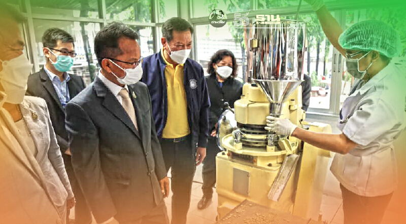 เริ่มแล้วผลิต ฟ้าทะลายโจรอัดเม็ด จากเครื่องปั๊ม ยาบ้า แจกจ่ายผู้ต้องขัง