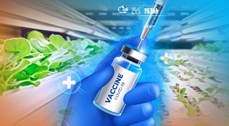 ทำความรู้จักวัคซีนโปรตีนซับยูนิตของไทยเตรียมทดลองในมนุษย์เฟสแรกต้น ก.ย. ทำความรู้จักวัคซีนโปรตีนซับยูนิตของไทยเตรียมทดลองในมนุษย์เฟสแรกต้น ก.ย.
