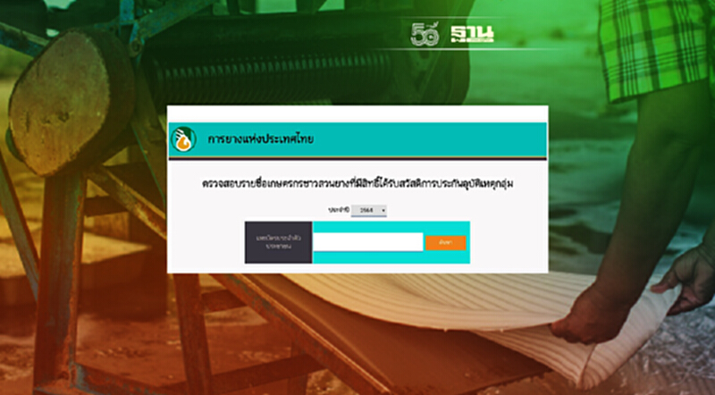 เปิดวิธีเช็กสิทธิ์ “ประกันภัยชาวสวนยาง” เสียชีวิต จ่าย รายละ 5 แสนบาท เปิดวิธีเช็กสิทธิ์ “ประกันภัยชาวสวนยาง” เสียชีวิต จ่าย รายละ 5 แสนบาท