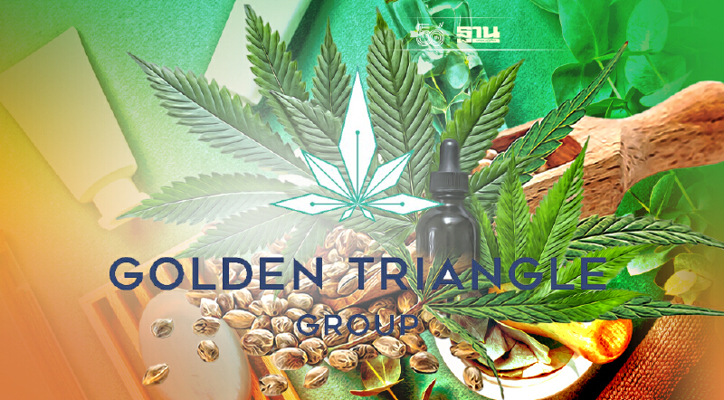 “กัญชา-กัญชง” ดีมานด์พุ่ง GTG  เปิดรับ OEM  เครื่องสำอางทุกชนิด